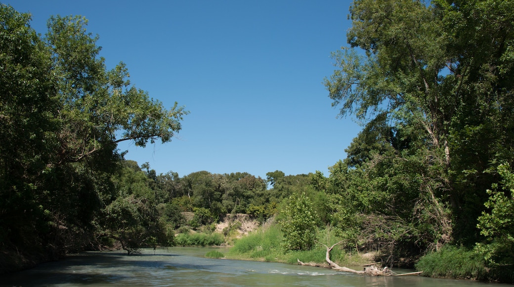 Palmetto State Park in Texas
