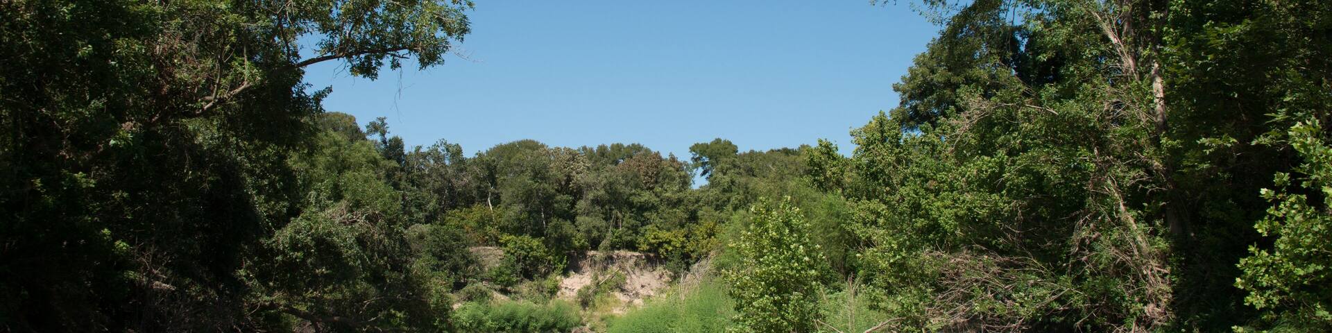 Palmetto State Park in Texas