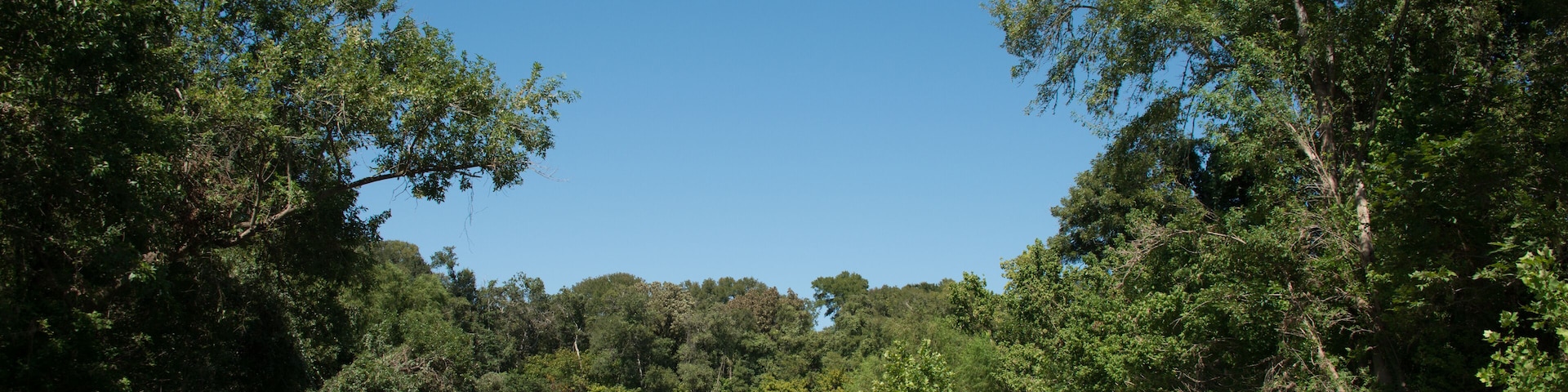 Palmetto State Park in Texas