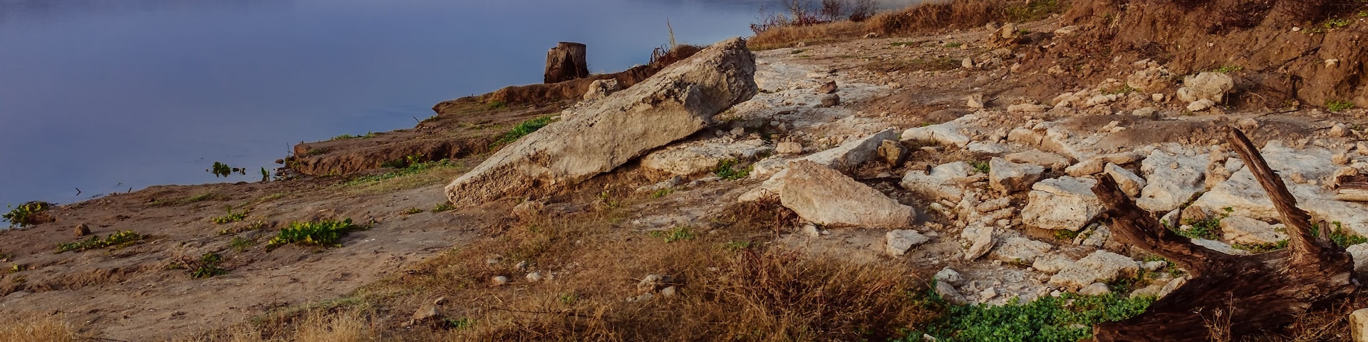 Morning at Pace Bend Park