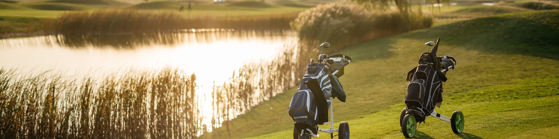 golf bags on green