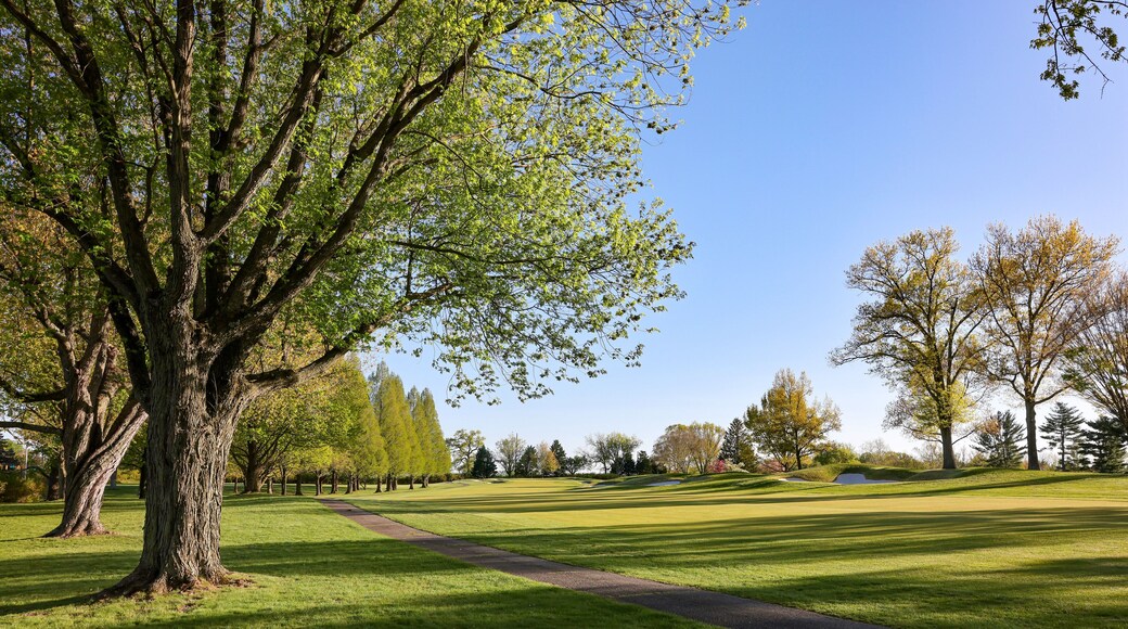 Scenery of a golf course at a country club in Wilmington Delaware in spring