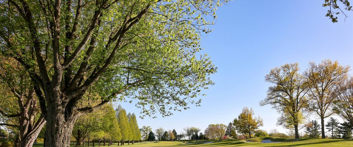 Scenery of a golf course at a country club in Wilmington Delaware in spring