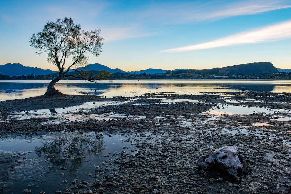 A tree by a lake with mountains in the background.