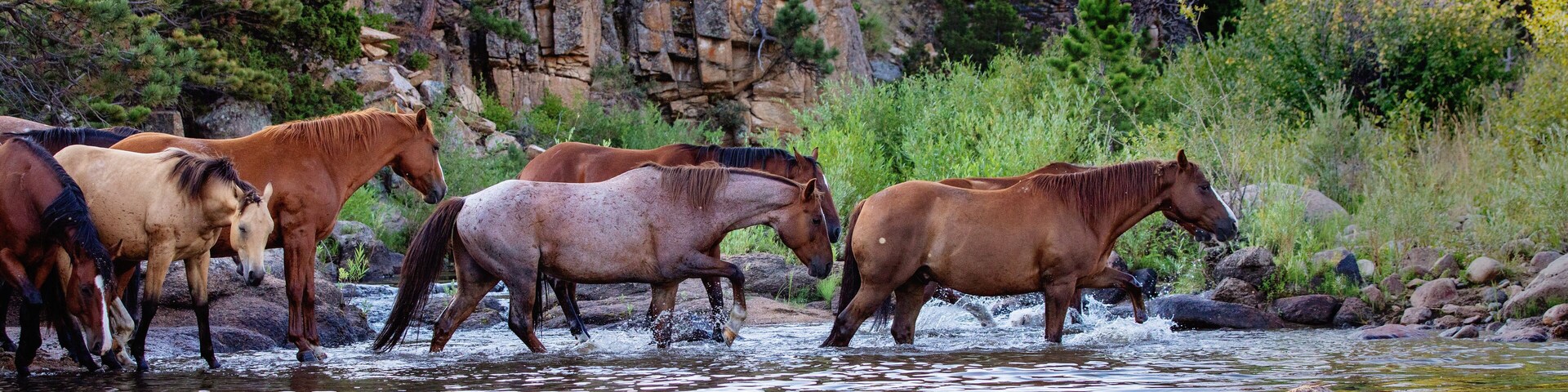 Water Crossing