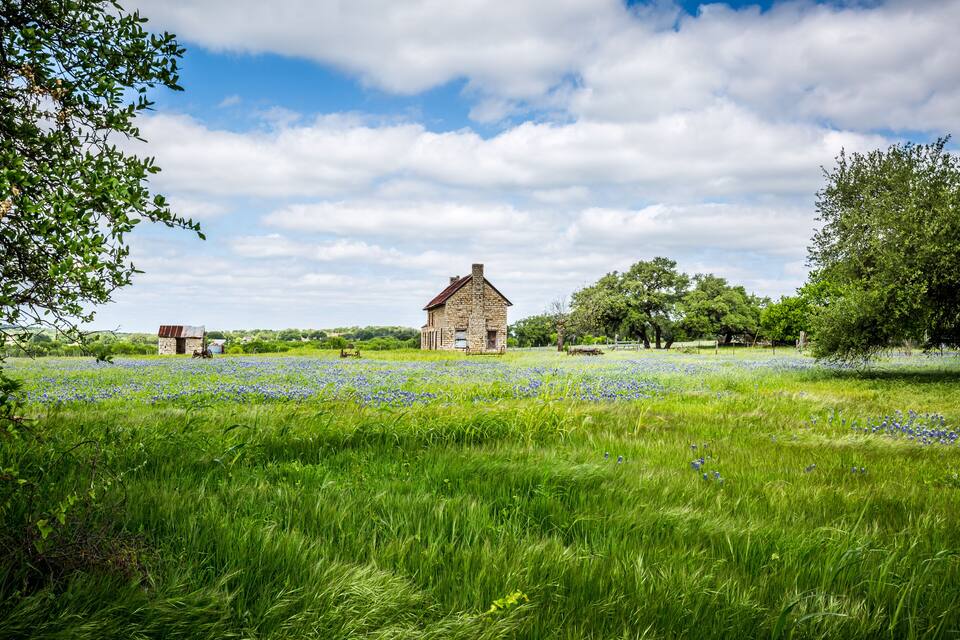 Une maison en pierre, entourée d’un champ de fleurs bleues et d’herbe verte, sous un ciel partiellement nuageux.