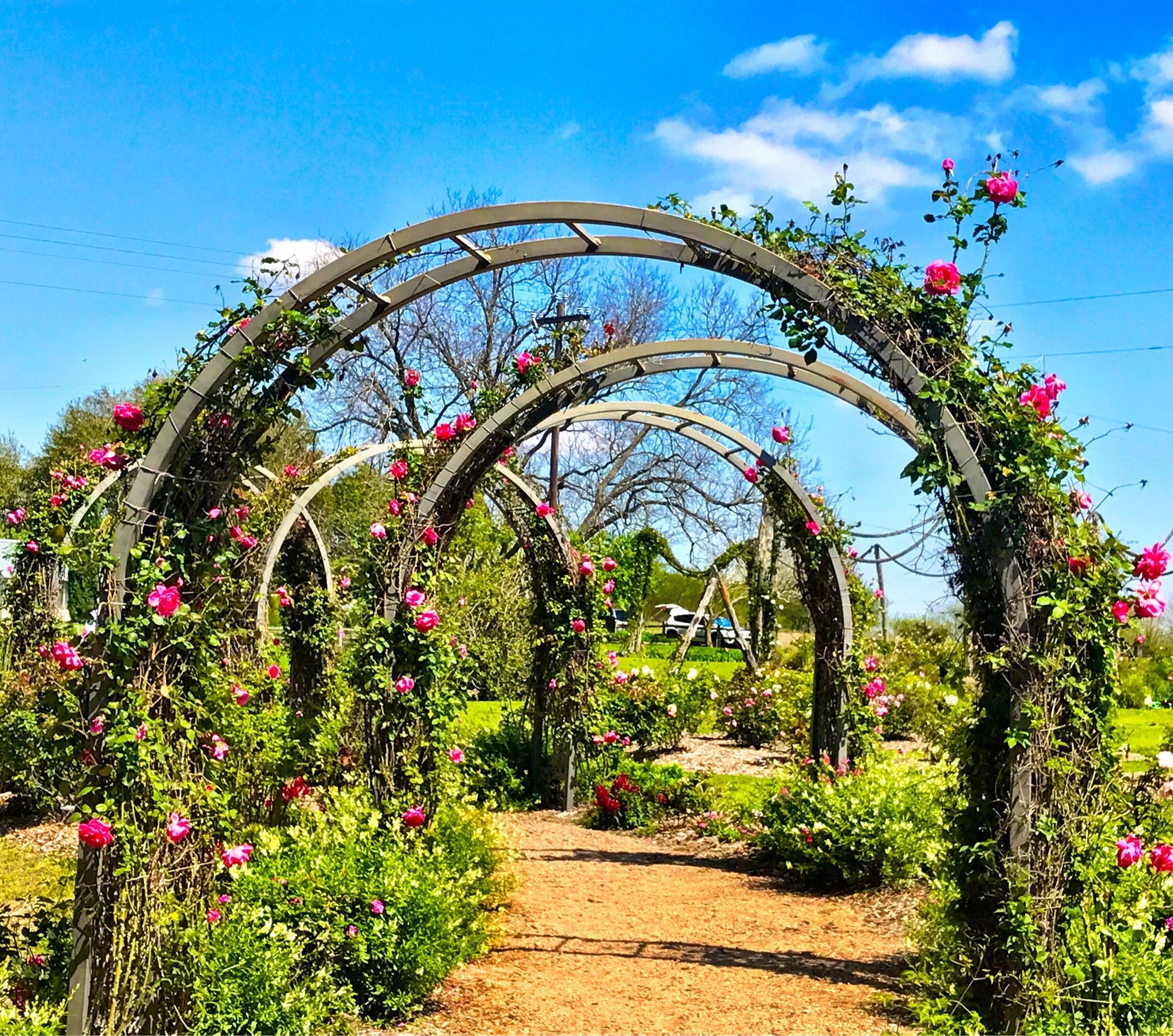 A beautiful day in the country. A fun stop at this wonderful place.
#Green