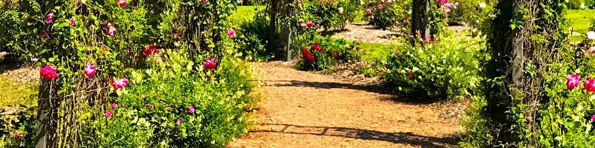 A beautiful day in the country. A fun stop at this wonderful place.
#Green