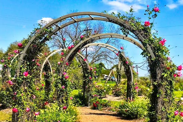 A beautiful day in the country. A fun stop at this wonderful place.
#Green