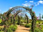 A garden with a metal archway covered in pink roses.