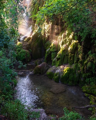 Gorman Falls in morning light.