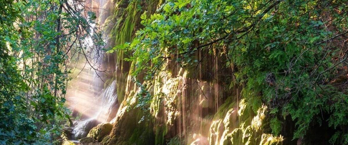 Gorman Falls in morning light.