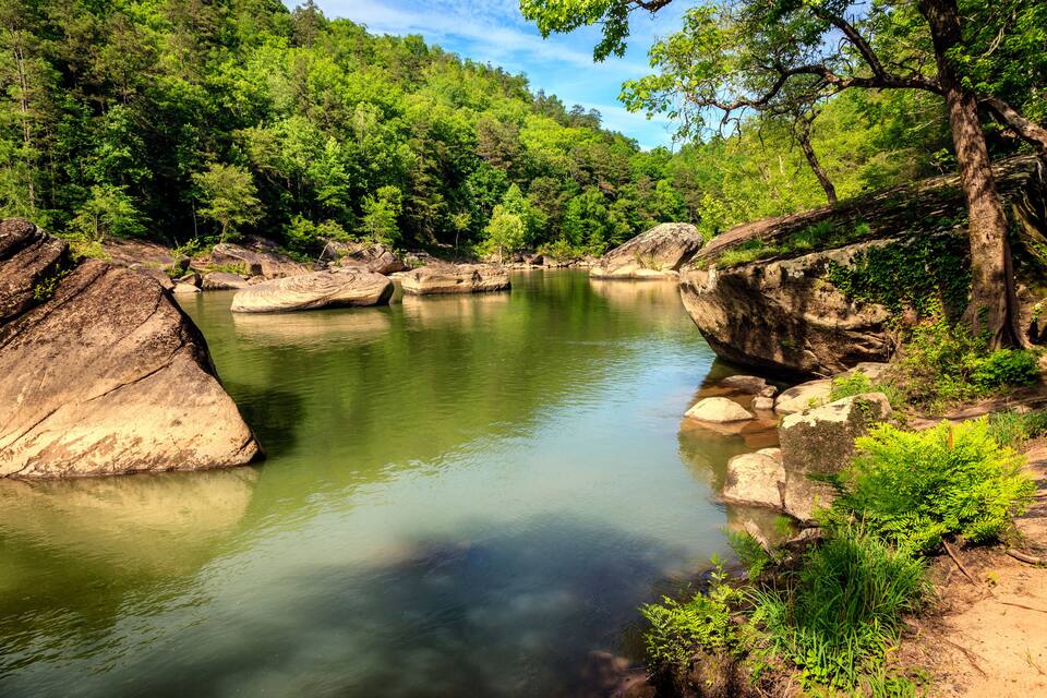 A calm river surrounded by large rocks and dense green forest.