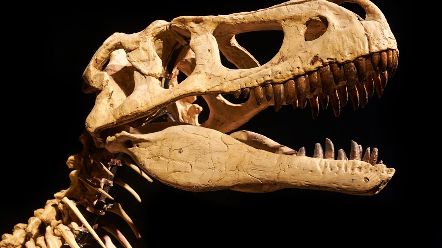 Parque temático Dinosaur World