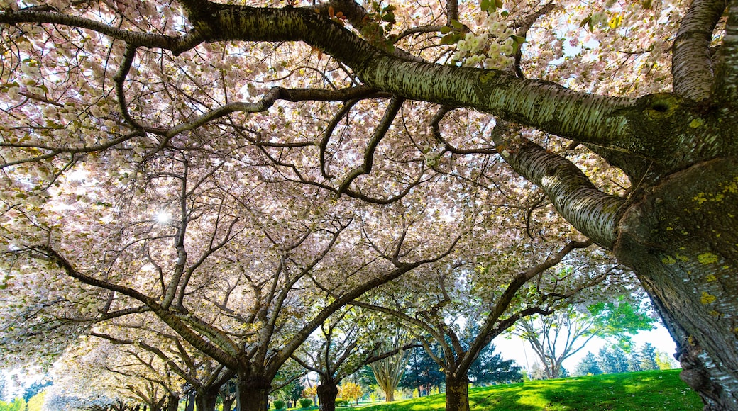 Clark Gardens Botanical Park