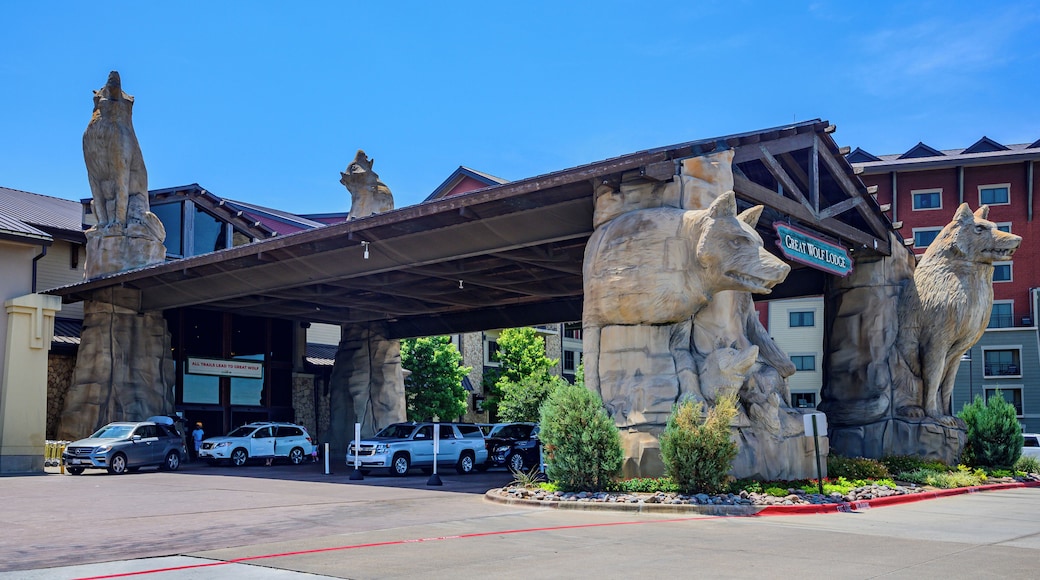Great Wolf Lodge Waterpark