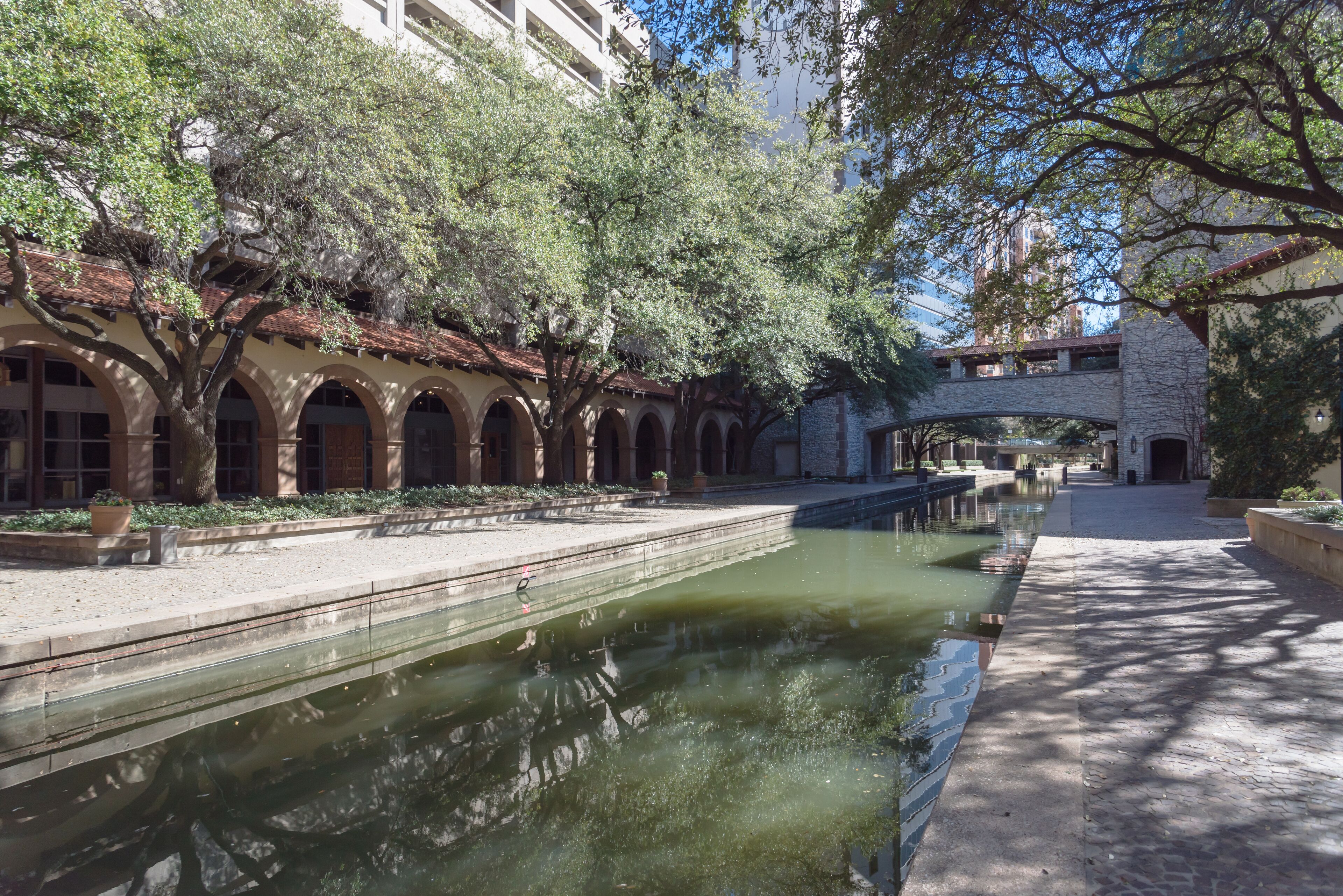 A tranquil courtyard with a reflective water feature, arched walkways, and mature trees.