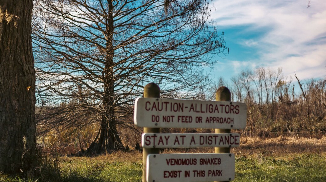 Lake Houston Wilderness Park