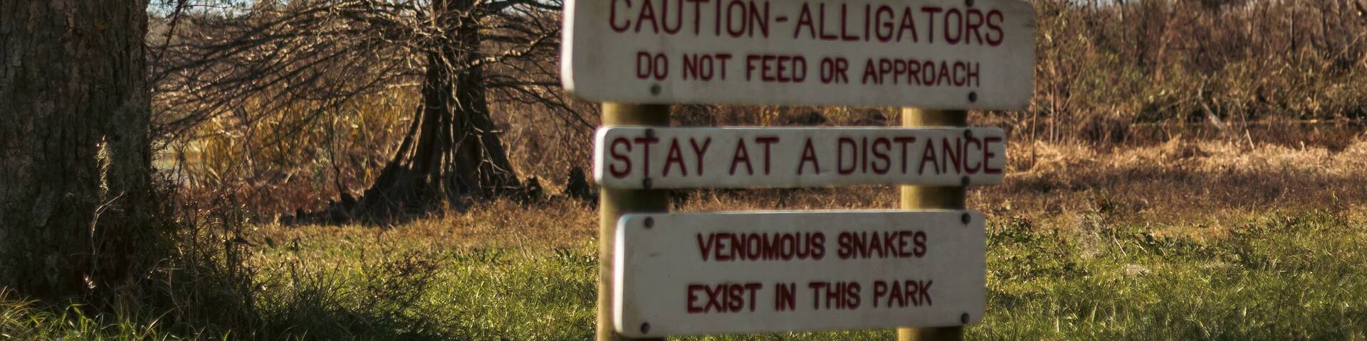 Sunny day at the Brazos Bend State Park