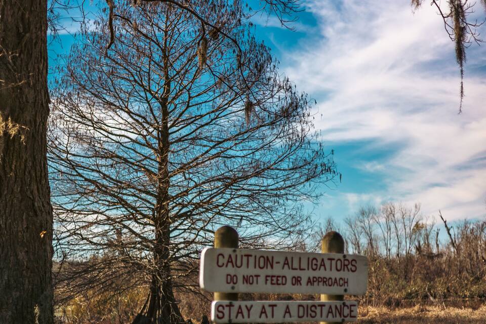 A warning sign about alligators and venomous snakes in a park.