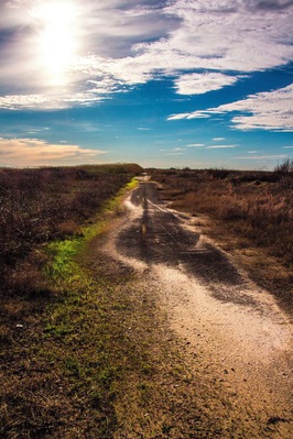 Due to work I don't have an opportunity to get out and shoot for about 5 months out of the year.  This is the first shot I've uploaded in awhile.
Had a chance to get away and travel this past weekend and went off the beaten path to a place I've always wanted to go.  Texas Highway 87 used to run along the coast from Sabine Pass down to Point Bolivar.  Many of hurricane have washed this road out time after time and it was rebuilt over and over again until finally in 1990 the state of Texas said no more.  In places it has been totally reclaimed by the gulf and mother nature but there are a few reaming spots where the old road still peaks through the sand and grass.
It takes a hike but is pretty cool to see the old remains in this remote stretch of Texas.
#road #oldroad #texas #deserted