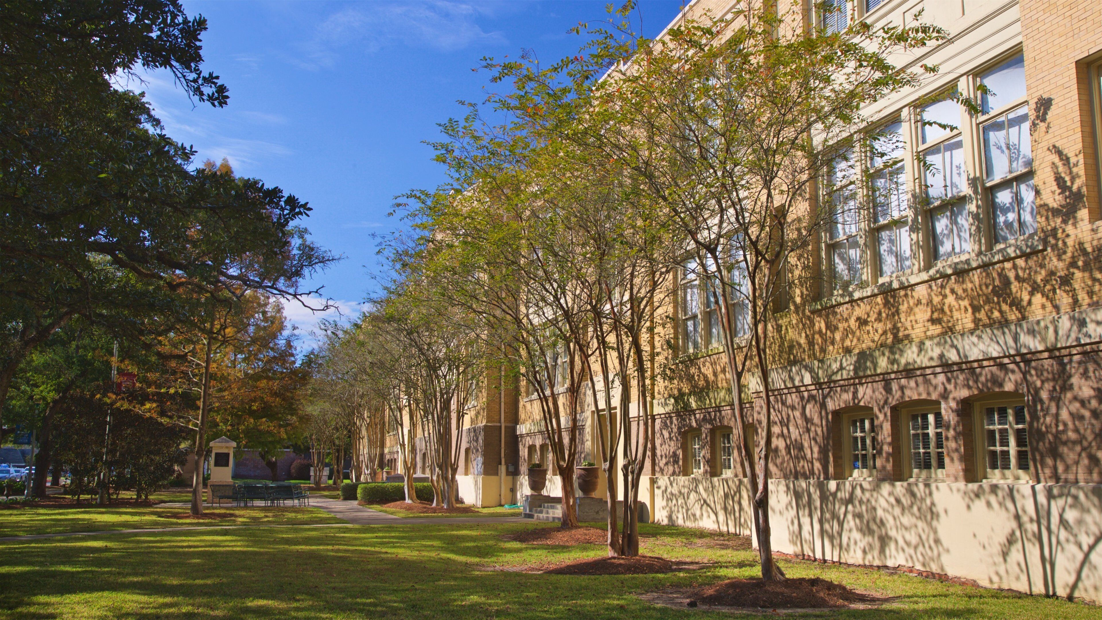 Mardi Gras Museum of Imperial Calcasieu featuring a park