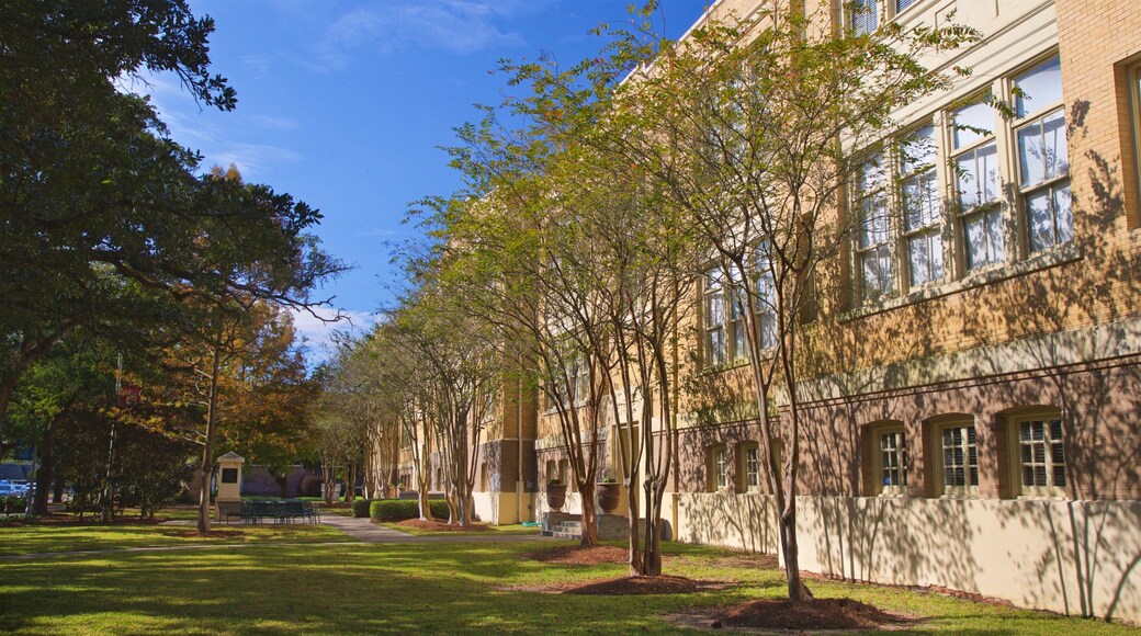 Mardi Gras Museum of Imperial Calcasieu featuring a park