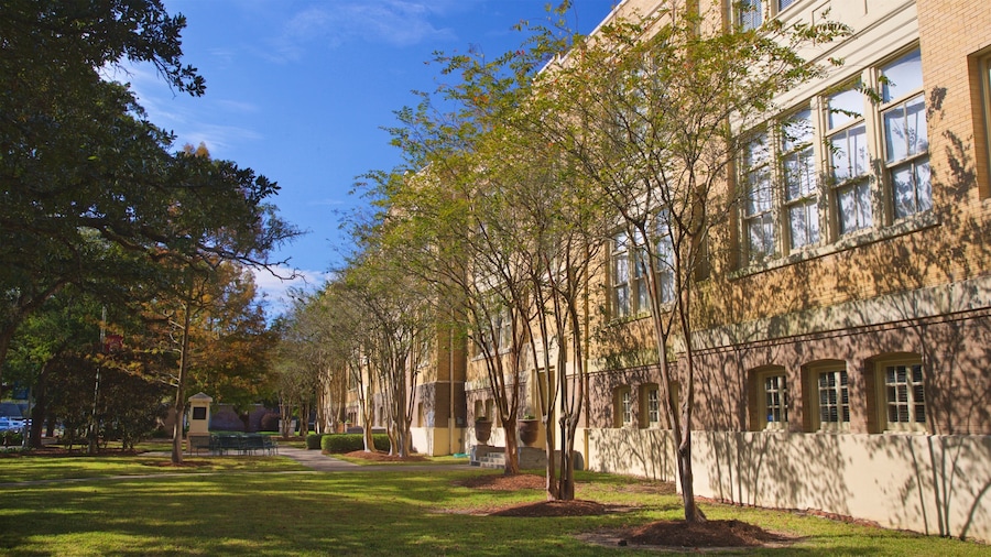 Mardi Gras Museum of Imperial Calcasieu mostrando un jardín