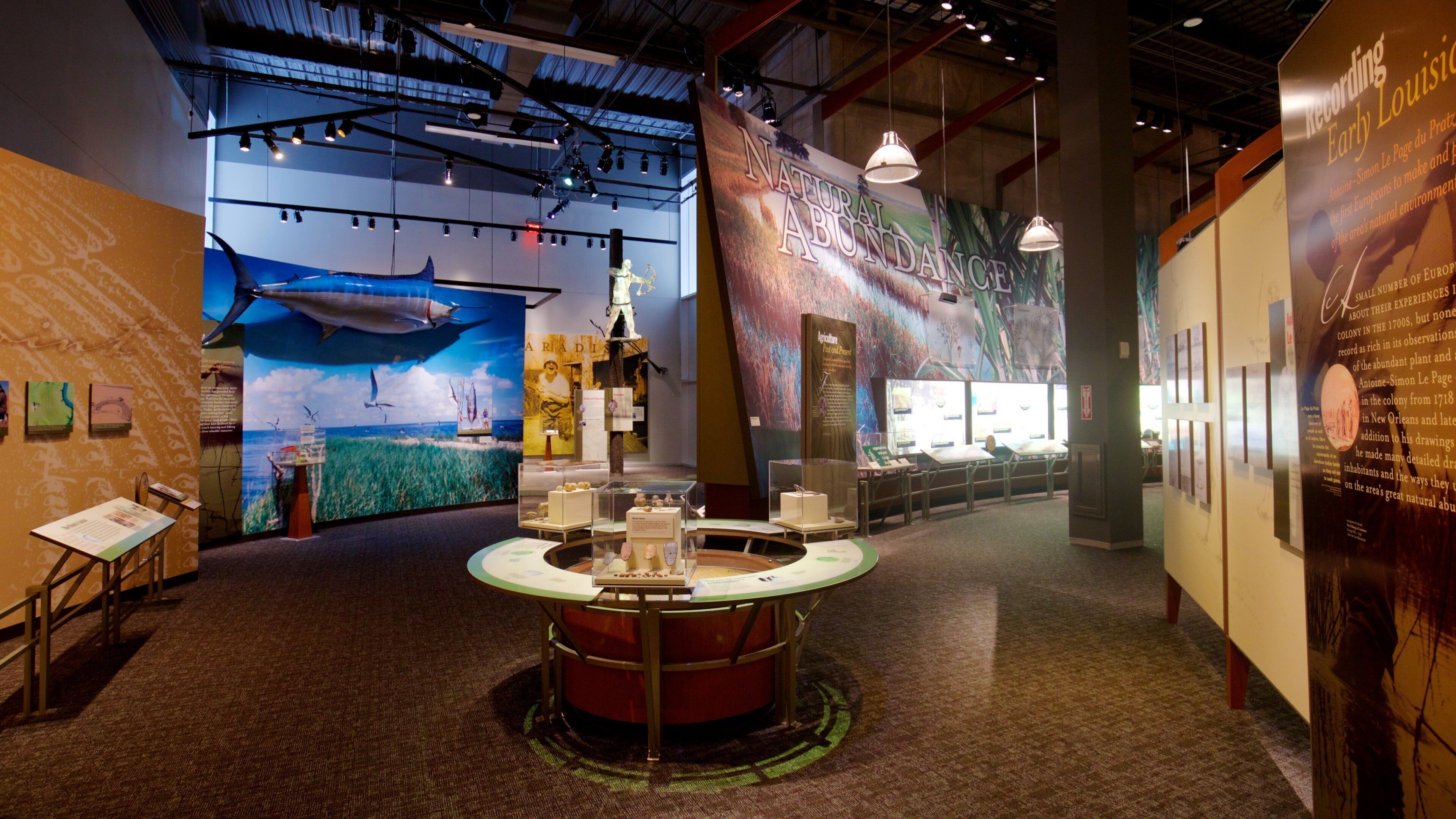 Capitol Park Museum showing interior views