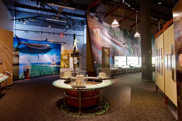 An interior museum exhibit with a central display, educational posters, and a large mural.