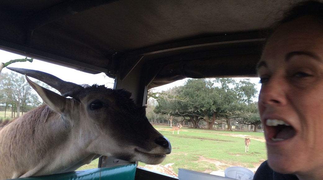 This guys head is covered in urine and crap because he won a fight? What happens to the loser?