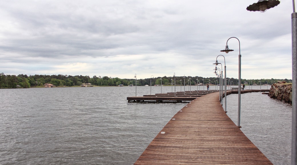 Parque estatal de Tyler