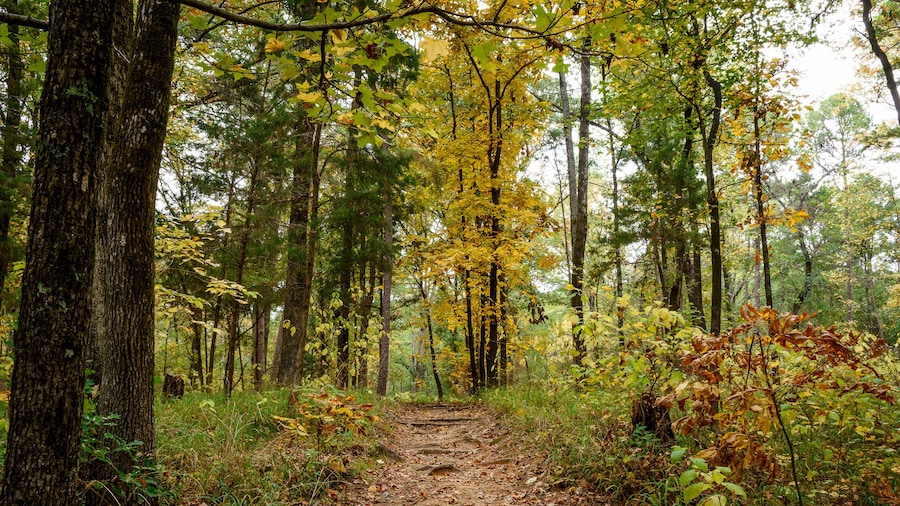 Parque estatal del lago Bob Sandlin