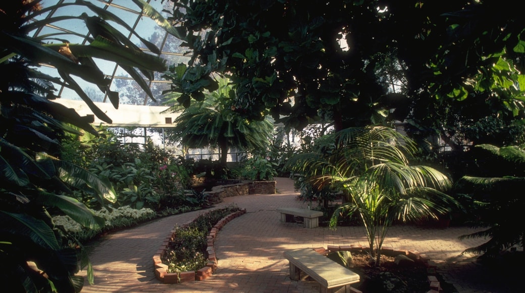 Shreveport ofreciendo vistas interiores y un jardín