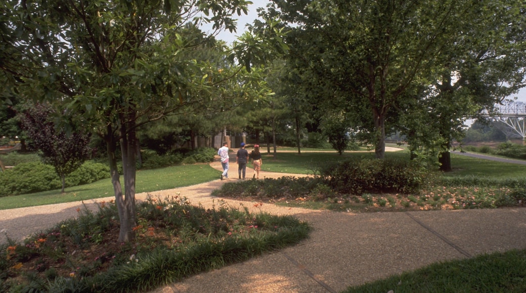 Shreveport ofreciendo un jardín y también un pequeño grupo de personas