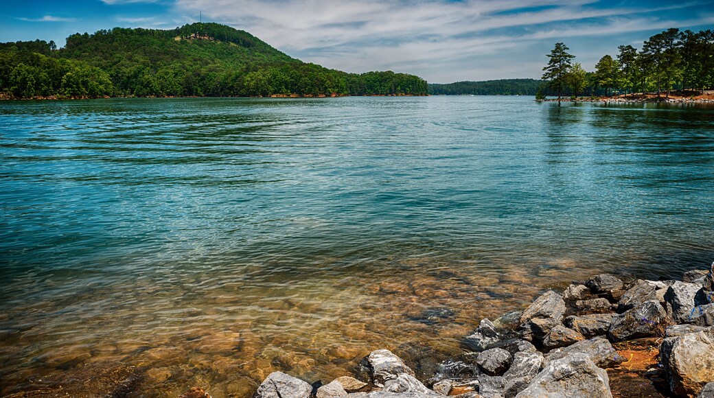 Parc Estatal d'Atlanta