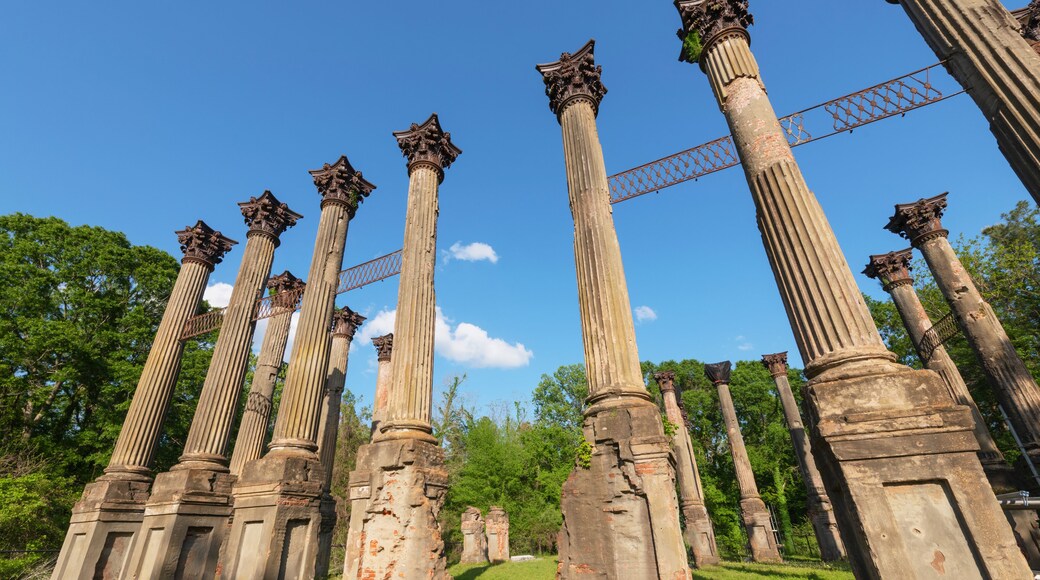 Windsor Ruins, Mississippi. Consisting of 23 standing Corinthian columns. Largest antebellum Greek Revival mansion ever built in the state.