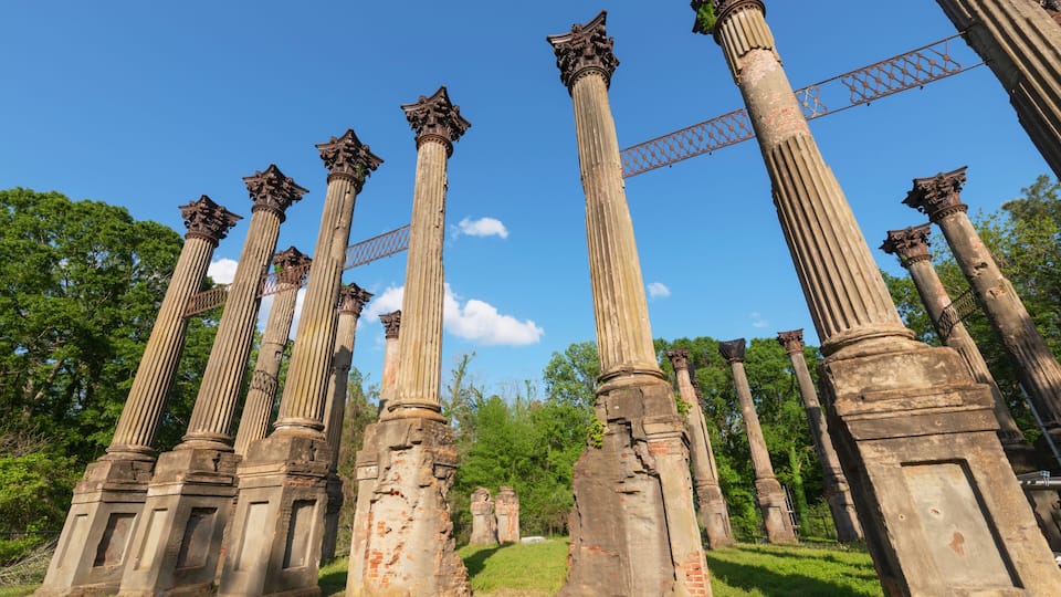 Ancient stone columns with capitals, set against a backdrop of trees and a clear sky.