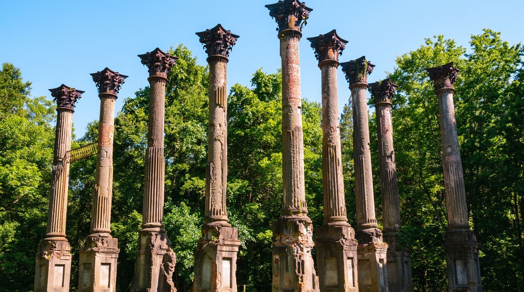 Windsor Ruins