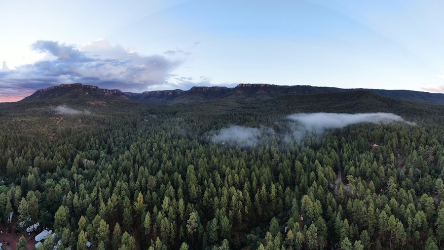 โมโกยอนริม