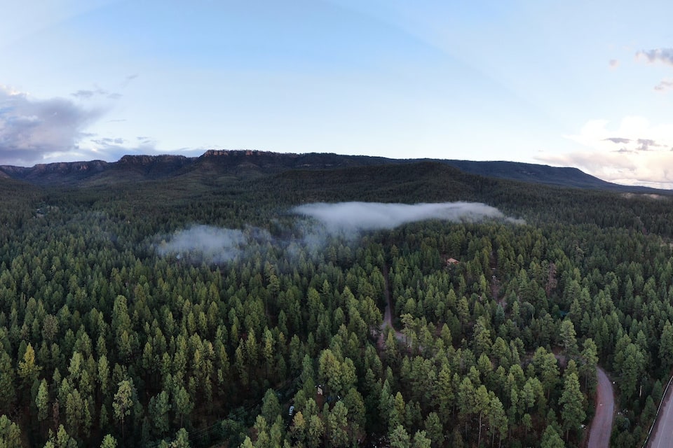 A dense forest with a winding road and a mountain range in the background.