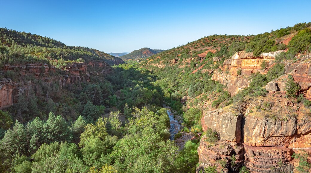 Wilson Canyon Trail = Wilsonin Kanjonipolku