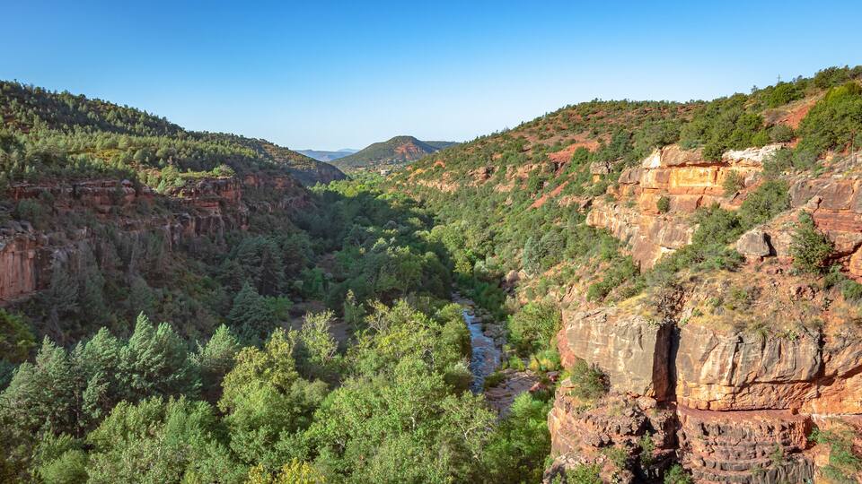 A canyon with a river, dense green forest, and rocky cliffs.