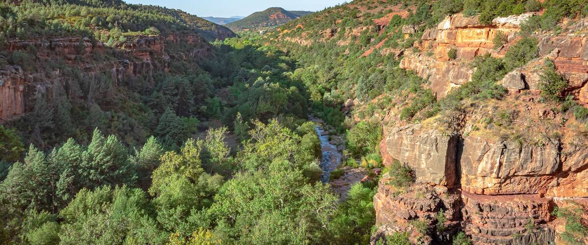 A canyon with a river, dense green forest, and rocky cliffs.