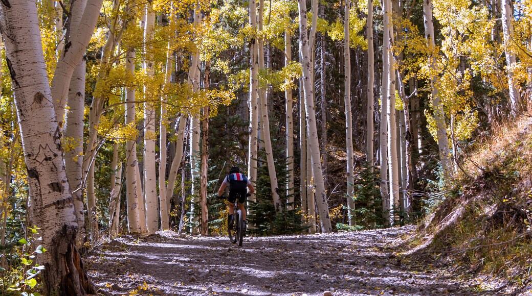 弗拉格斯塔夫極限運動