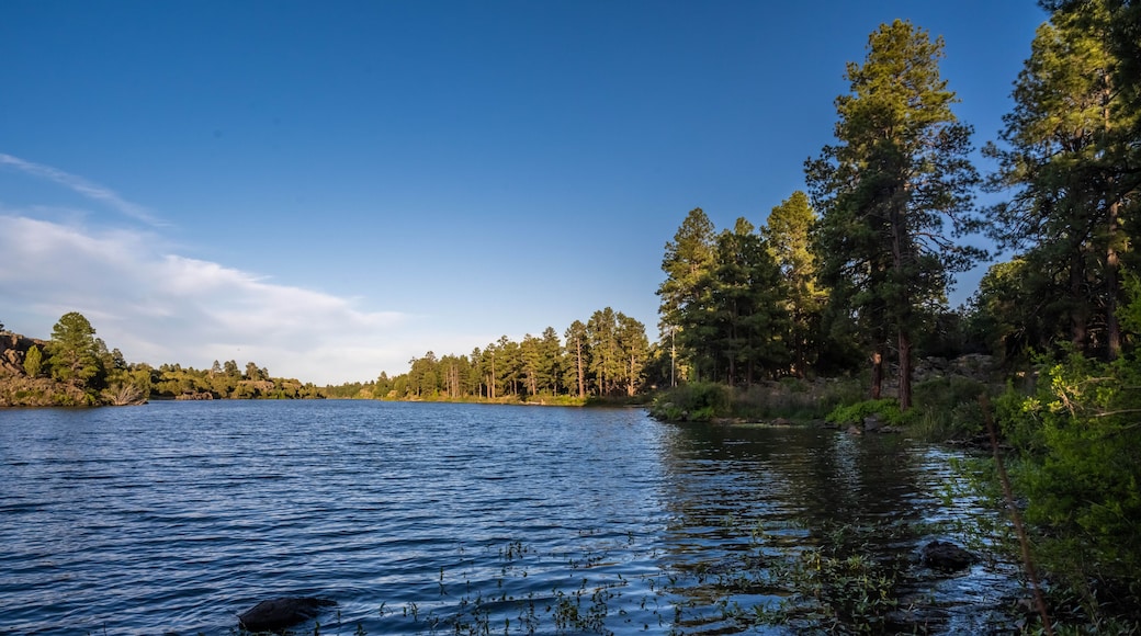 Fool Hollow Lake friluftsområde