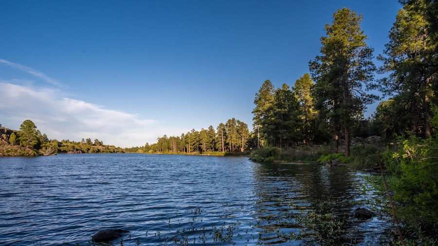 An overlooking view in Fool Hollow Lake Recreation Area, Arizona