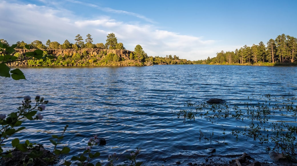 Fool Hollow Lake friluftsområde