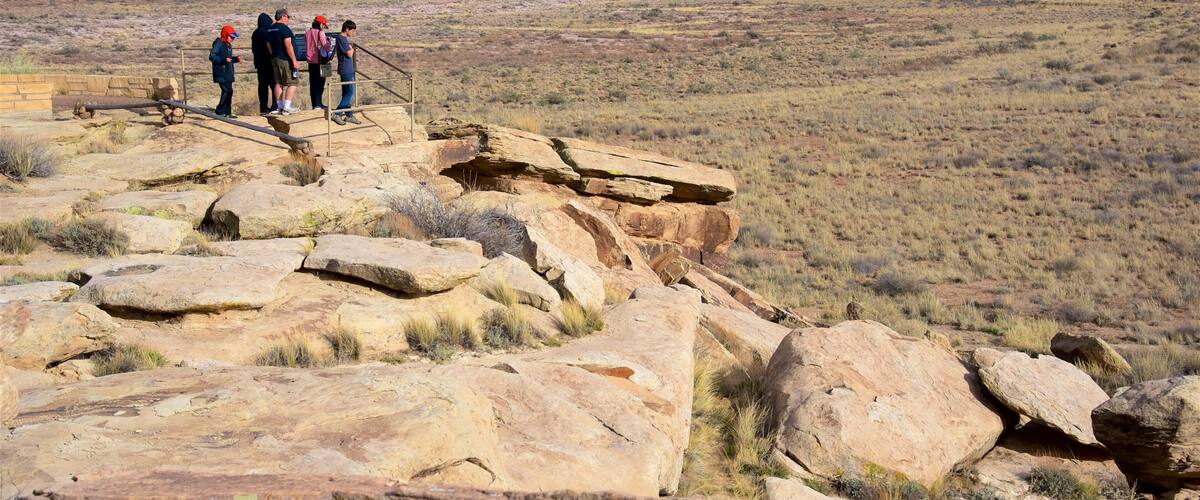 Parc national Petrified Forest mettant en vedette vues du désert et scÚnes tranquilles aussi bien que petit groupe de personnes