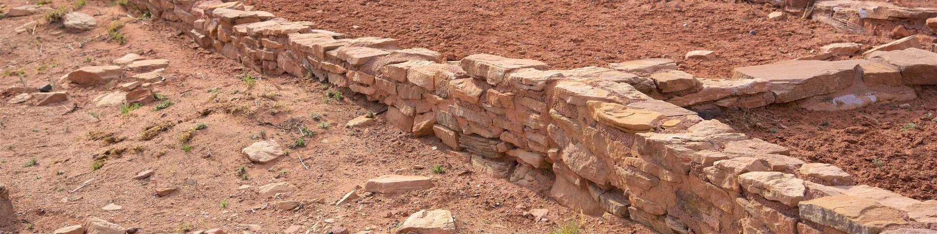Petrified Forest National Park mostrando vistas al desierto, una ruina y escenas tranquilas